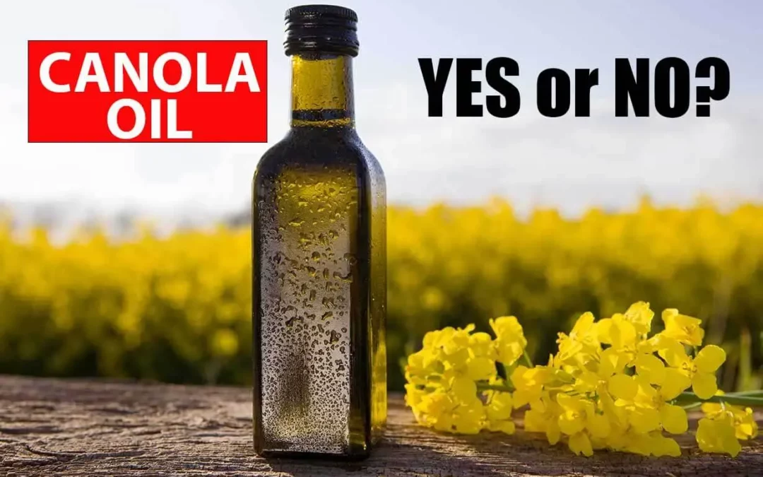 Is Canola Oil Healthy? All You Need to Know